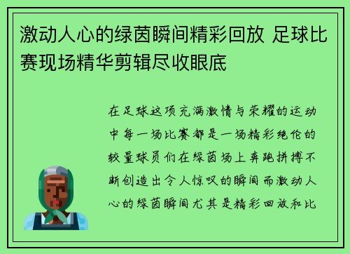 激动人心的绿茵瞬间精彩回放 足球比赛现场精华剪辑尽收眼底